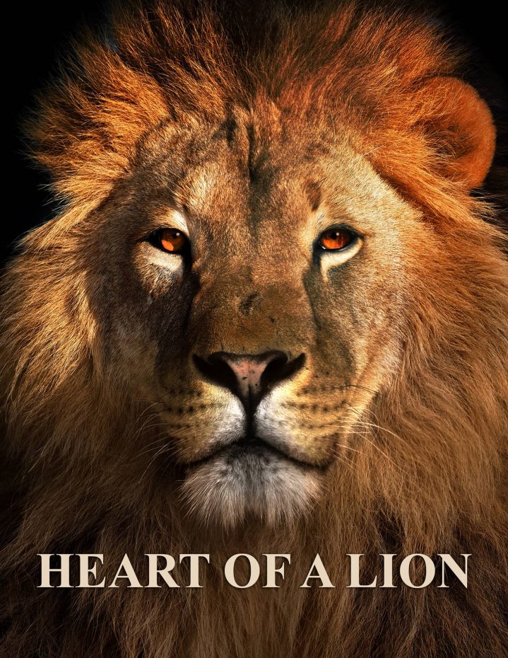 Martinelli Films Heart Of a Lion