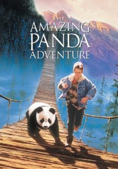 THE AMAZING PANDA ADVENTURE